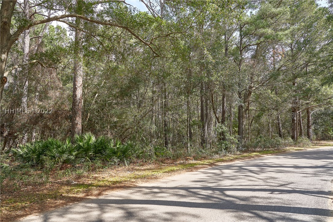 3 Fox Squirrel Court, Okatie, SC 29909