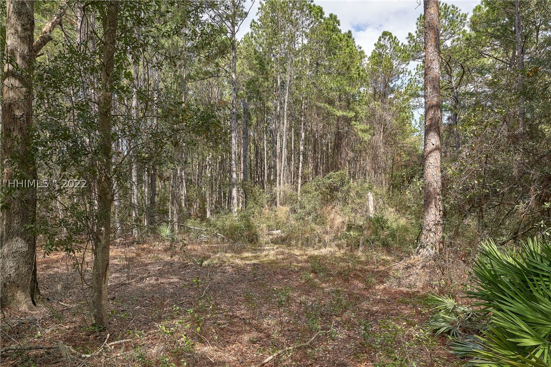 3 Fox Squirrel Court, Okatie, SC 29909